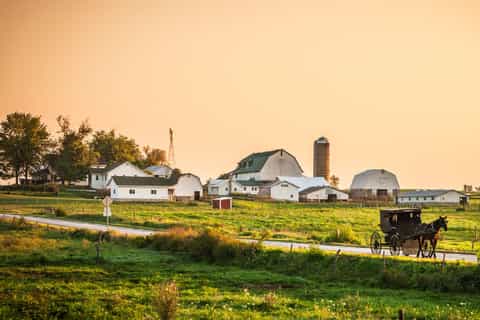philadelphia fullday amish experience