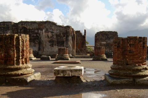 From Sorrento: Full-Day Pompeii & Wine Tasting Tour