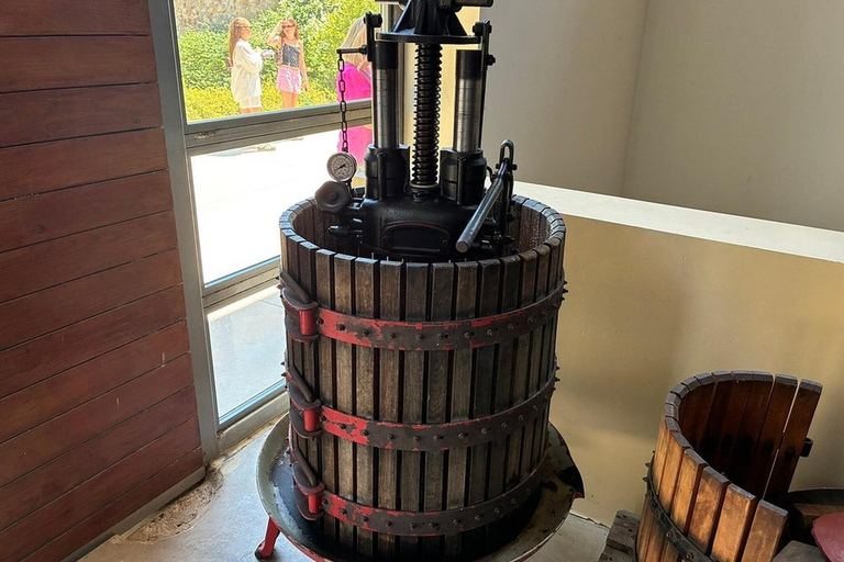 Vatolakkos: Boutique Winery Tour & 5-Wine Tasting
