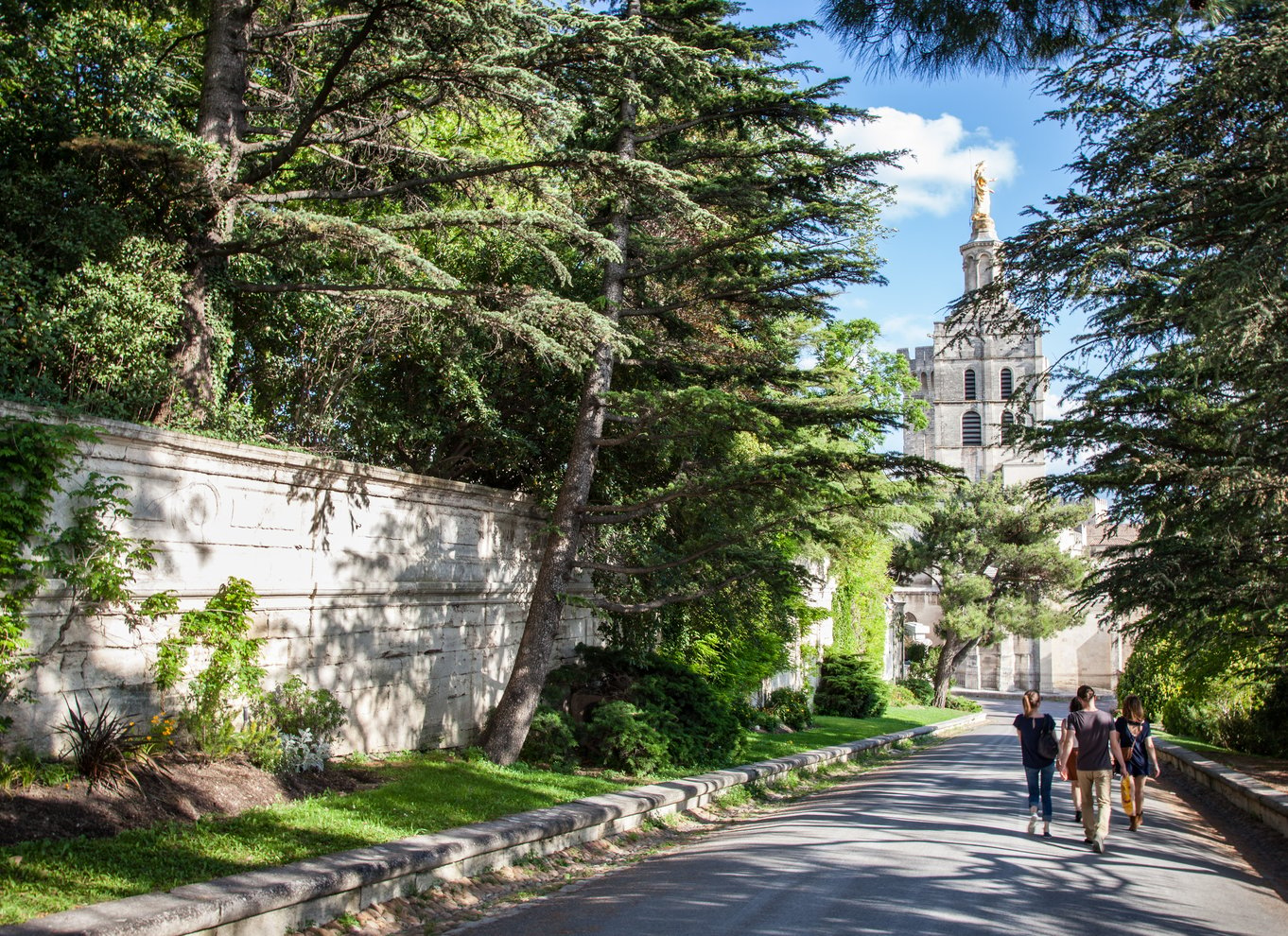 Avignon, byvandring om morgenen med adgang til pavepaladset