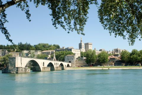Avignon: City Walking Tour with Popes Palace Entry