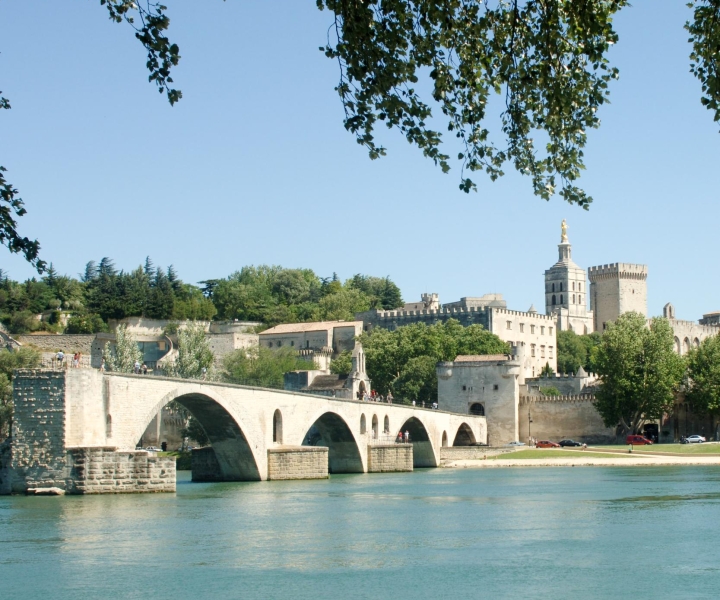 Avignon: City Walking Tour with Popes Palace Entry