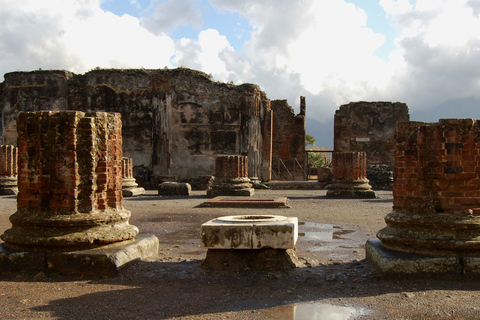 From Sorrento: Herculaneum and Pompeii Group Excursion