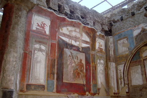 From Sorrento: Herculaneum and Pompeii Group Excursion