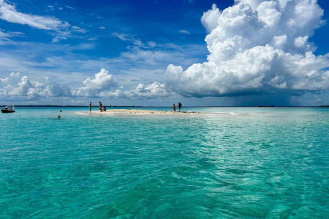 MNEMBA: Delfini, snorkeling e tour del santuario delle tartarughe marine di NungwiTour privato con ingresso, senza servizio di prelievo in hotel
