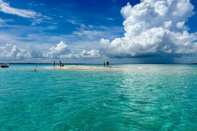 MNEMBA: Delfini, snorkeling e tour del santuario delle tartarughe marine di NungwiTour privato con ingresso, senza servizio di prelievo in hotel