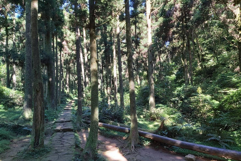 Taipei: Yangmingshan National Park Hiking Day Tour Challenging Route: Mt. Qixing Trail