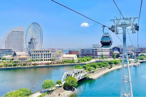 Tokyo: Kamakura & Enoshima Private Guided Day Trip