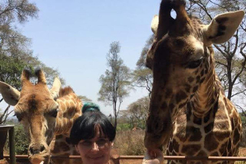 Centre des girafes, musée Karen Blixen, visite des Bomas du Kenya.Centre des girafes, Karen Blixen et visite du musée Blixen.