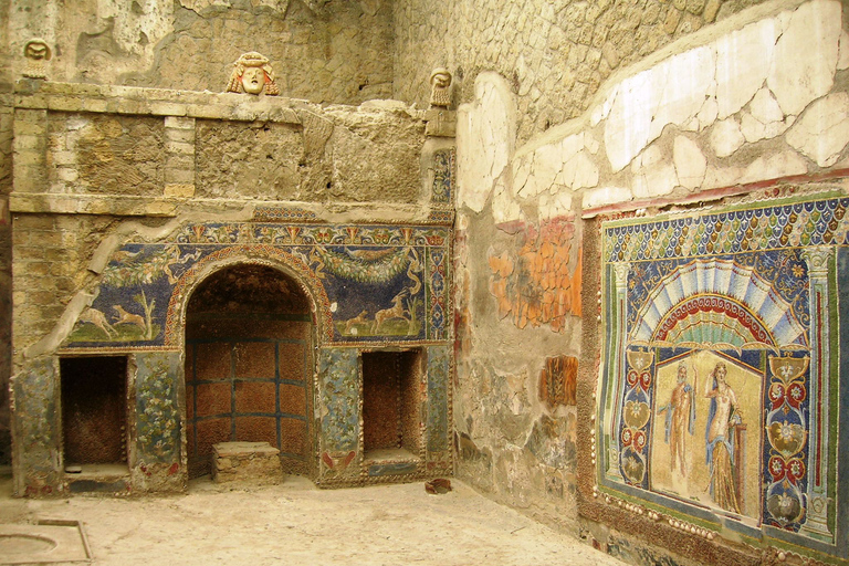 Herculaneum and Mount Vesuvius Private Tour