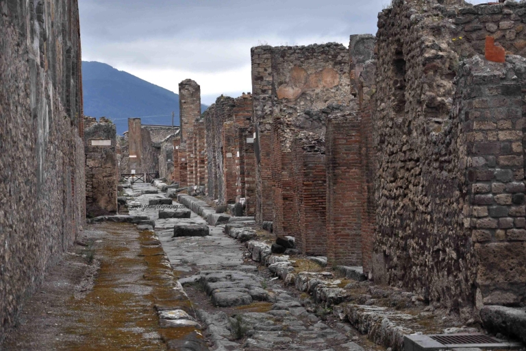 De Rome: visite privée de Pompéi et du Vésuve