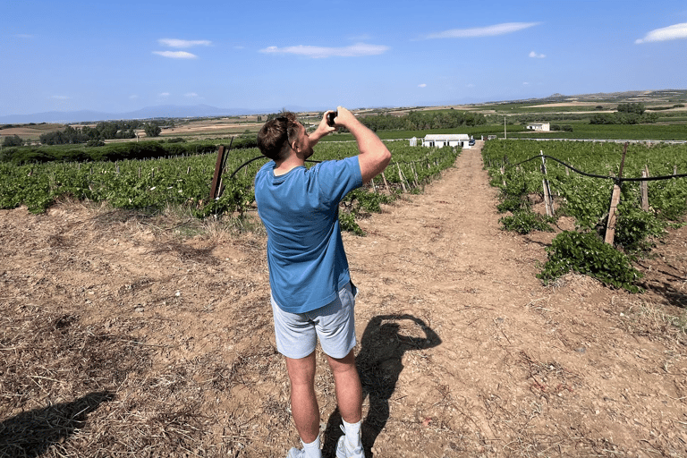 From Cagliari: Wine Cellar Tour with Tastings