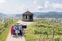 Gengenbach, Private Black Forest Tour by car - Housity