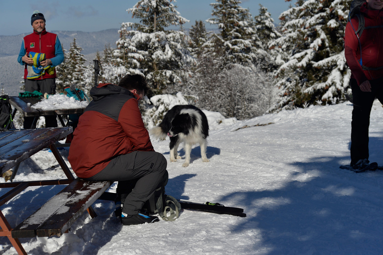 Spedizione nel Paese delle Meraviglie d&#039;Inverno, viaggio con le racchette da neve nella natura selvaggia