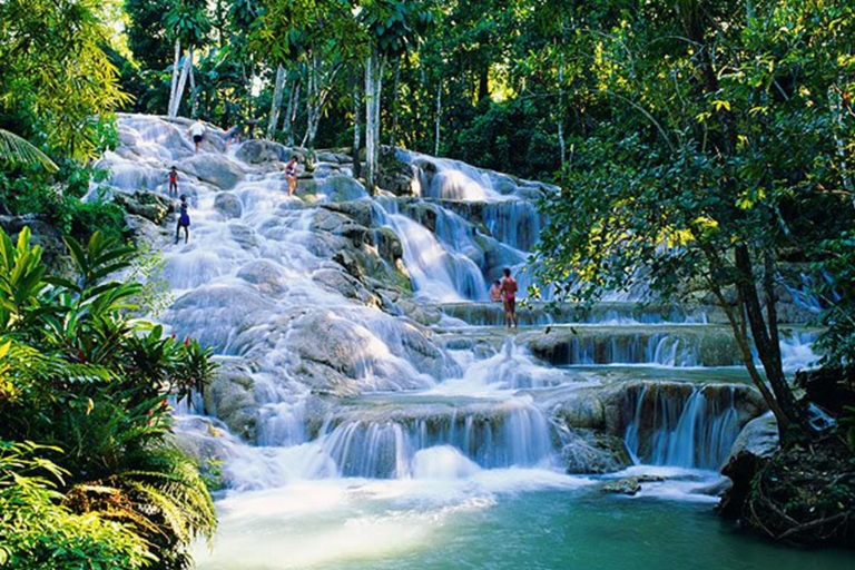 Dunn's River Falls Day Tour Dunn's River Falls: Private Day Tour