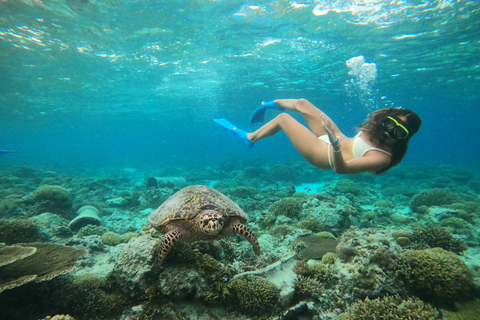 Gili T : Small group snorkeling trip