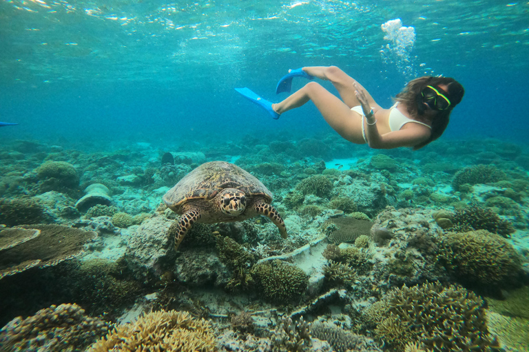 Gili T : Small group snorkeling trip