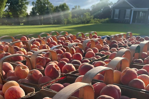 Z Toronto: Niagara-on-the-Lake, wycieczka 1-dniowa z winem i czekoladą