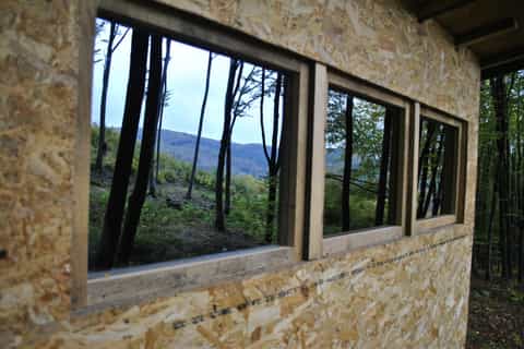 Private Brown Bear Watching Experience near Odorheiu Secuies
