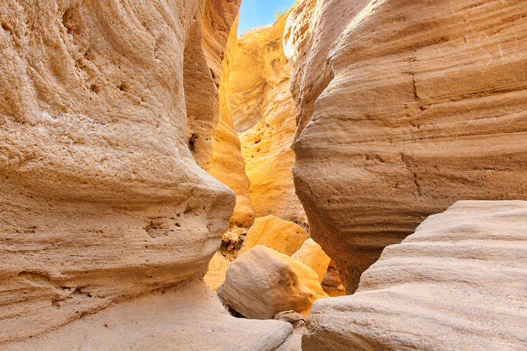 Agadir: Sinec Canyon Guided Tour with Sandboarding