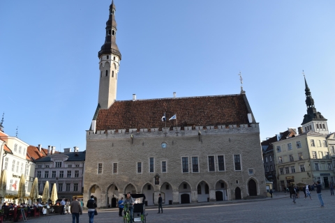 Tallinn: Half-Day City Tour