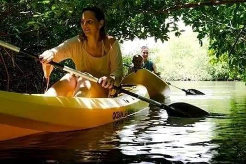 Passeio de caiaque de 3 horas pela floresta de mangue