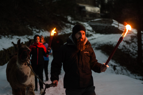 Triesenberg: Walking Tour with Llamas and Cheese Raclette