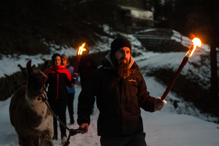 Triesenberg: Walking Tour with Llamas and Cheese Raclette