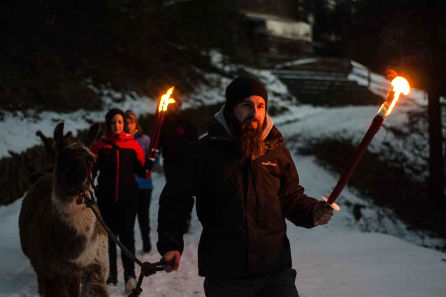 Triesenberg: Walking Tour with Llamas and Cheese Raclette