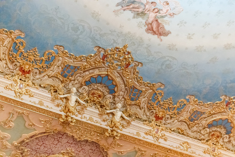 The Majestic Teatro La Fenice: Guided Tour in Venice Tour in English