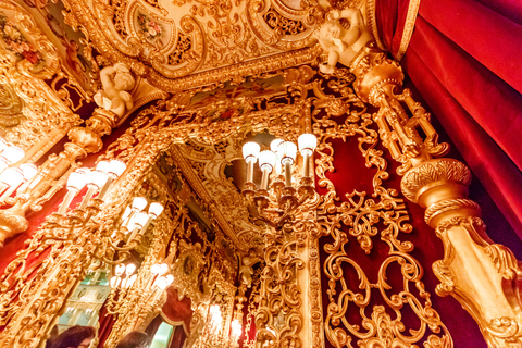 The Majestic Teatro La Fenice: Guided Tour in Venice Tour in English