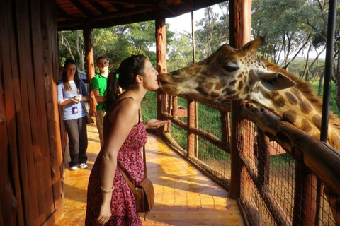 Nationaal park Nairobi Olifantenweeshuis en giraffencentrum