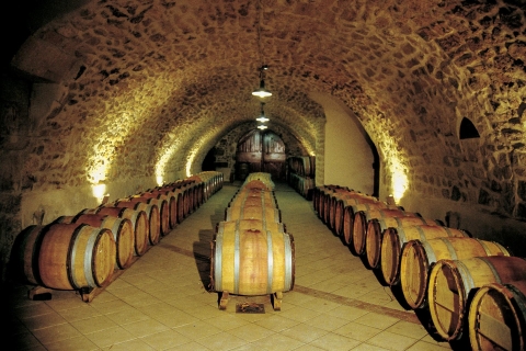Van Avignon: tour van halve dag met grote wijngaarden