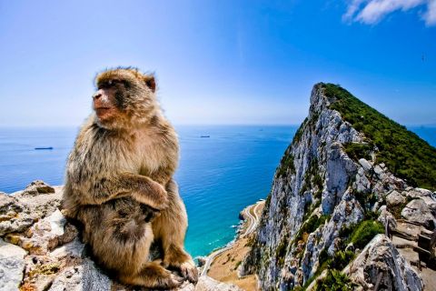 Desde Cádiz: viaje privado de 1 día a Gibraltar y Bolonia