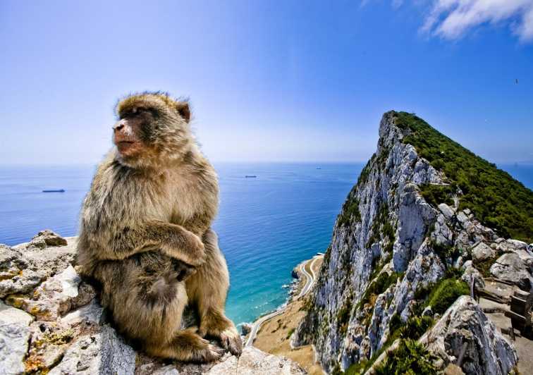 Ab Cádiz: Private Tagestour nach Gibraltar und Bolonia
