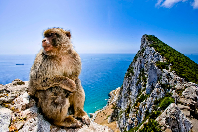 Depuis Cadix : Excursion privée d'une journée à Gibraltar et en Bolonie