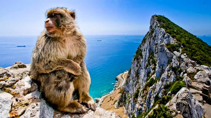 desde cádiz viaje privado de 1 día a gibraltar y bolonia