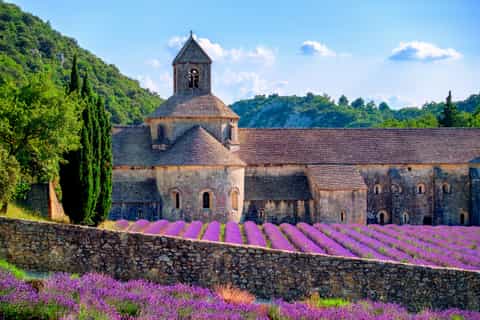 Avignon: Luberon Valley & Sault Lavender Road Half-Day Tour
