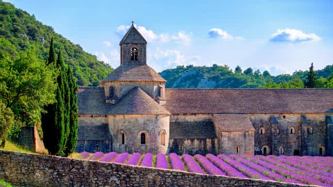 avignon luberon valley sault lavender road halfday tour