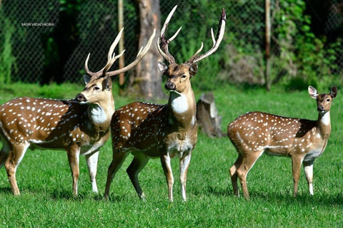 From Batumi: Georgian Amazon & Kolkheti Park Tour