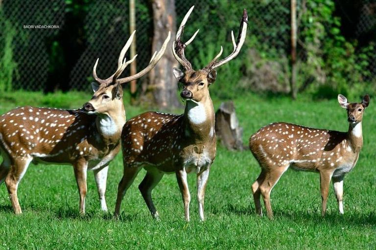 From Batumi: Georgian Amazon & Kolkheti Park Tour