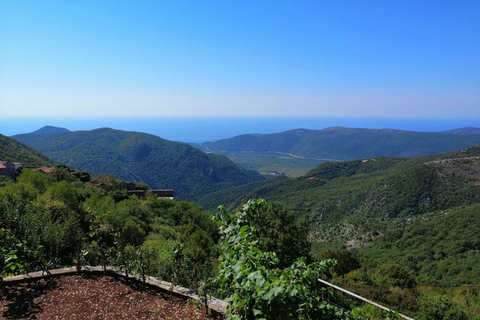 Unique gastro experience with locals in hills above Budva! Unique lunch experience with locals in hills above Budva!