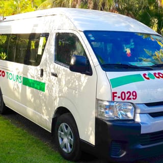 Punta Cana: One-Way Transfer from The Airport