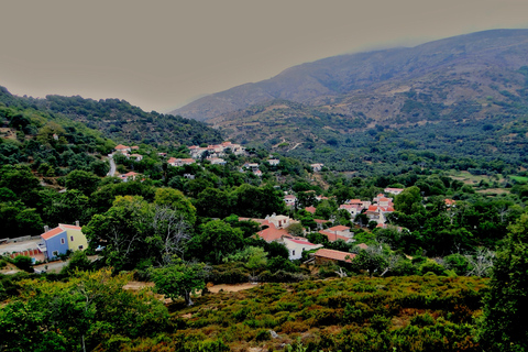 Desde Rétino: excursión de un día a la isla ElafonisiDesde Rethimno, Perivolia, Atsipopoulo