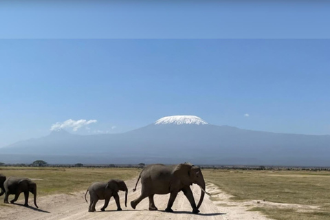 Nairobi: Lake Naivasha & Amboseli National Park 3-day safari L. Naivasha, Hell's gate & Amboseli National Park 3-day tour