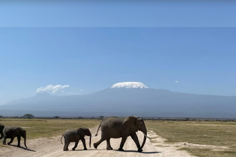 Nairobi: Lake Naivasha & Amboseli National Park 3-day safari L. Naivasha, Hell's gate & Amboseli National Park 3-day tour