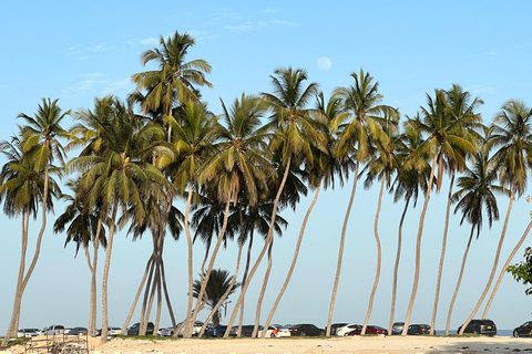 Salalah: Paseo en camello por la playa con recogida en el hotel30 minutos de paseo en camello por la playa