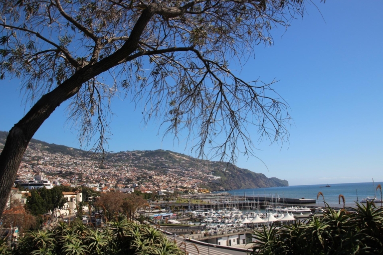 Funchal: Tour privado con guía local.2 Horas de Tour