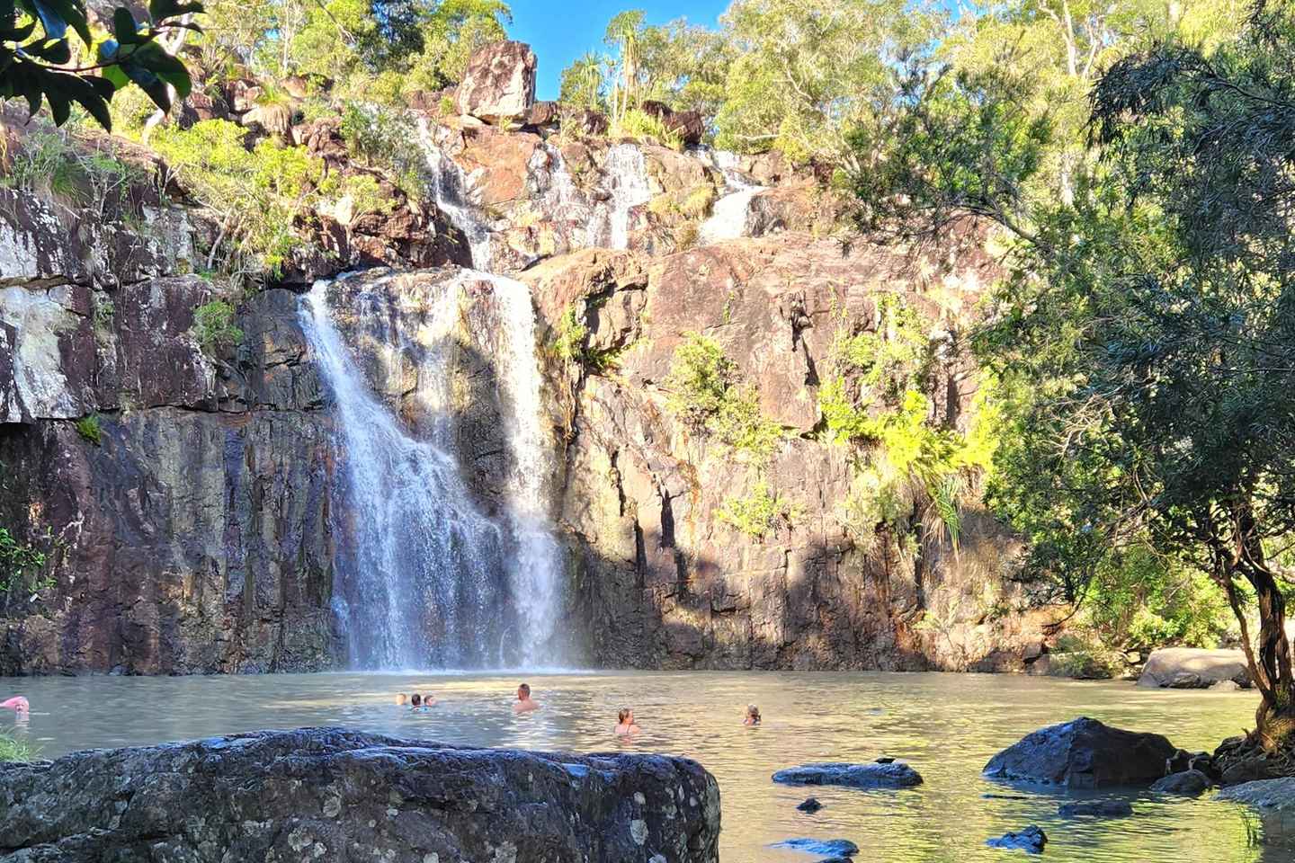 Airlie Beach: Waterfall & Rainforest Bushwalk Eco Adventure