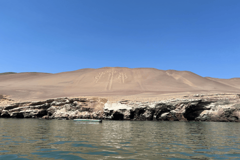 Bus Lima to Paracas (from: Miraflores) ONE WAY